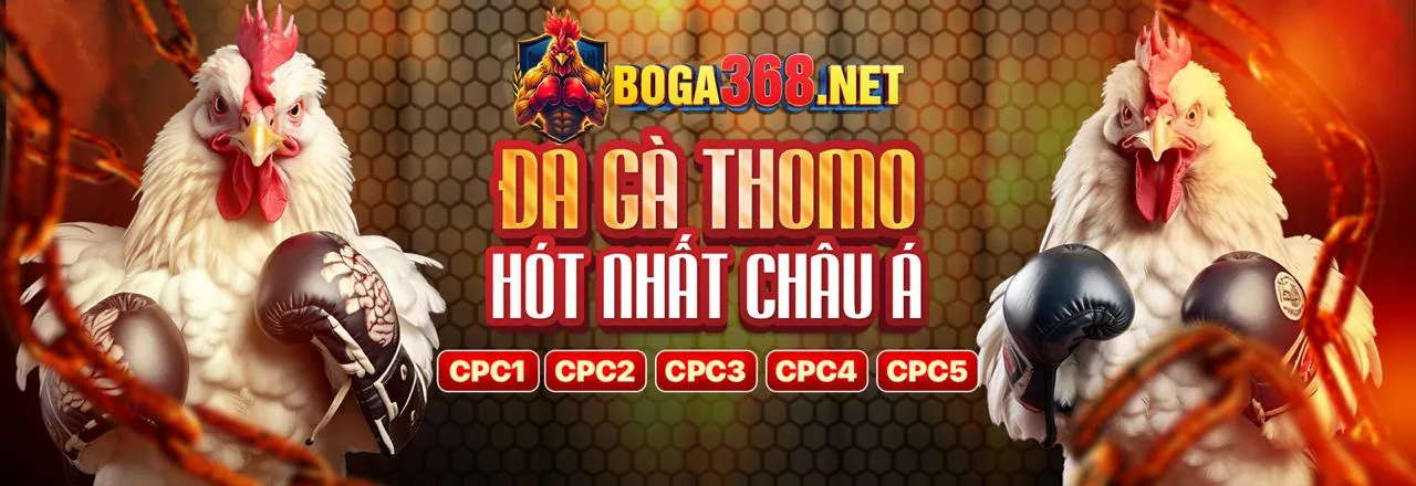 Giải đấu game bài và nổ hũ