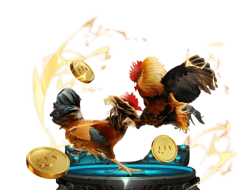 Các sự kiện và giải đấu đặc biệt